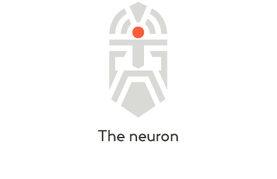 The neuron